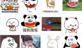 网络用语吃瓜,吃瓜群众围观娱乐圈风云变幻