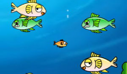 小鱼吃瓜娱乐,揭秘娱乐圈幕后故事，带你领略明星们的真实生活