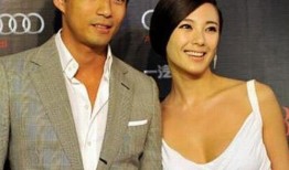 娱乐圈吃瓜汪小菲小说