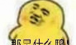 吃瓜群众表情包可爱图片,吃瓜群众表情包可爱瞬间大盘点