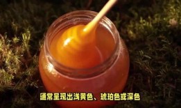 真假蜂蜜的鉴别方法视频,视频教学助你轻松分辨