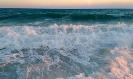 大海视频,探索海洋奥秘，畅游视觉盛宴