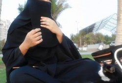 娱乐吃瓜君七七视频