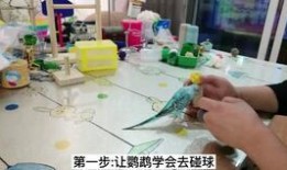 栗子吃瓜娱乐,揭秘娱乐圈幕后趣事