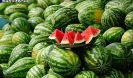 网上吃瓜的网站,揭秘热门事件背后的真相与娱乐