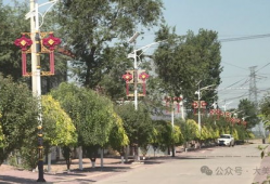 旺村镇,探寻江南水乡的韵味与魅力