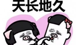 在娱乐圈的闺蜜吃瓜小说,揭秘明星背后的秘密瓜田