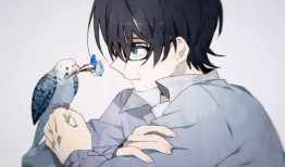 男生壁纸动漫,男生壁纸中的梦幻世界