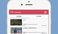 视频播放器下载,便捷观影新体验