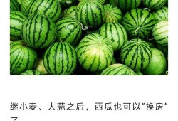 网上吃瓜的网站,揭秘热门事件背后的真相与娱乐