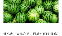 网上吃瓜的网站,揭秘热门事件背后的真相与娱乐