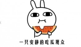 娱乐吃瓜酱知识怎么就进脑子里了,知识如何悄然植入脑海