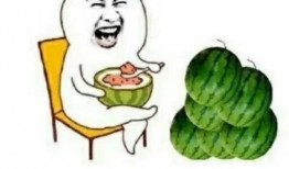 吃瓜宝宝娱乐,揭秘娱乐圈幕后故事，带你领略明星真实生活