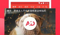 西瓜网视频,揭秘热门话题背后的故事